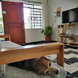 Hostel Selvatica Eco (adults Only), Medellin