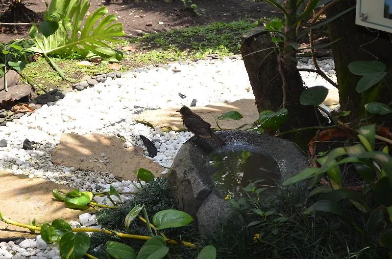 Hotel Aromax Del Campestre Medellin 4*,
